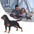 thumbnail image 3 of Figura de Perro Decorativa ANGGREK Simulación Realista Detallada, 3 of 8
