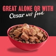 thumbnail image 5 of Cesar Porterhouse Flavor and Vegetable Garnish Small Breed Dry Dog Food, 5 lb bag, 5 of 11