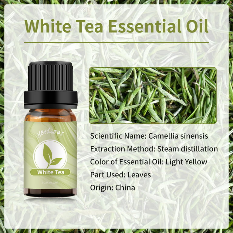 Yethious White Tea Essential Oil 10 ml (1/3 oz) 100% Pure, Undiluted,  Natural Aromatherapy 