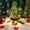 Green C, variant on Gqtwoy 12-inch Lighted Tabletop Christmas Tree, Mini Artificial Christmas Tree, Pinecones Red Berries, Perfect for Home Decoration, Festive Atmosphere, Ideal for Living Room or Office