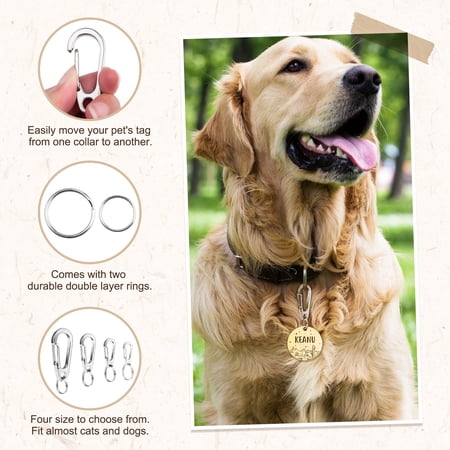 5pcs Stainless Steel Spring Snap Quick Link Carabiner Clip Duty, Small Carabiner Clip for Pet Tag/ Collar, Cat/Dog Leash, Key ring and Harness