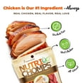 thumbnail image 3 of Nutri Chomps Premium Rawhide-Free Braided Dog Chews, Real Chicken, 6 Inch, 4 Count, 3 of 7