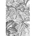 thumbnail image 2 of Murdock, Ramona 13x18 White Modern Wood Framed Museum Art Print Titled - Botanical BW I, 2 of 4