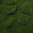thumbnail image 3 of OULII Tapete De Musgo Artificial Para Exteriores Ideal En Proyectos De Y Paisajismo, 3 of 7