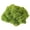 Light Green 5.3oz, variant on RUseeN Artificial Moss for Crafts, 5.3oz Fake Green Moss for Potted Plants, Faux Moss Decor for DIY Decorative, Walls,Table Centerpieces Decor Fairy Garden Model Making (150g, Dark Green)