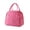 C, variant on Bento Case Clearance! Huayishang Portable Thermal Insulated Handle Lunch Box with Outdoor Picnic Storage Bag Ideal for Adults for Work School Travel and Hiking and Easy to Carry, 1* Meal Bag