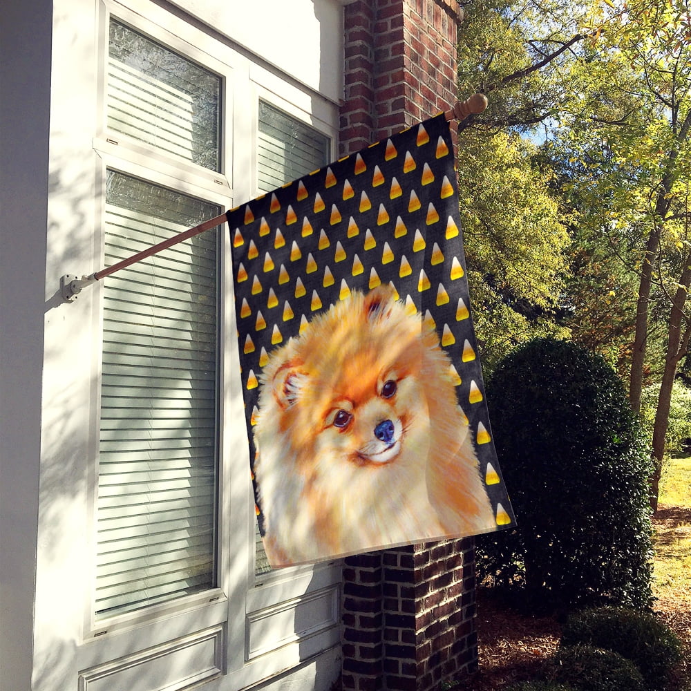 Carolines Treasures LH9045-FLAG-PARENT Pomeranian Candy Corn Halloween Portrait Flag  multicolor