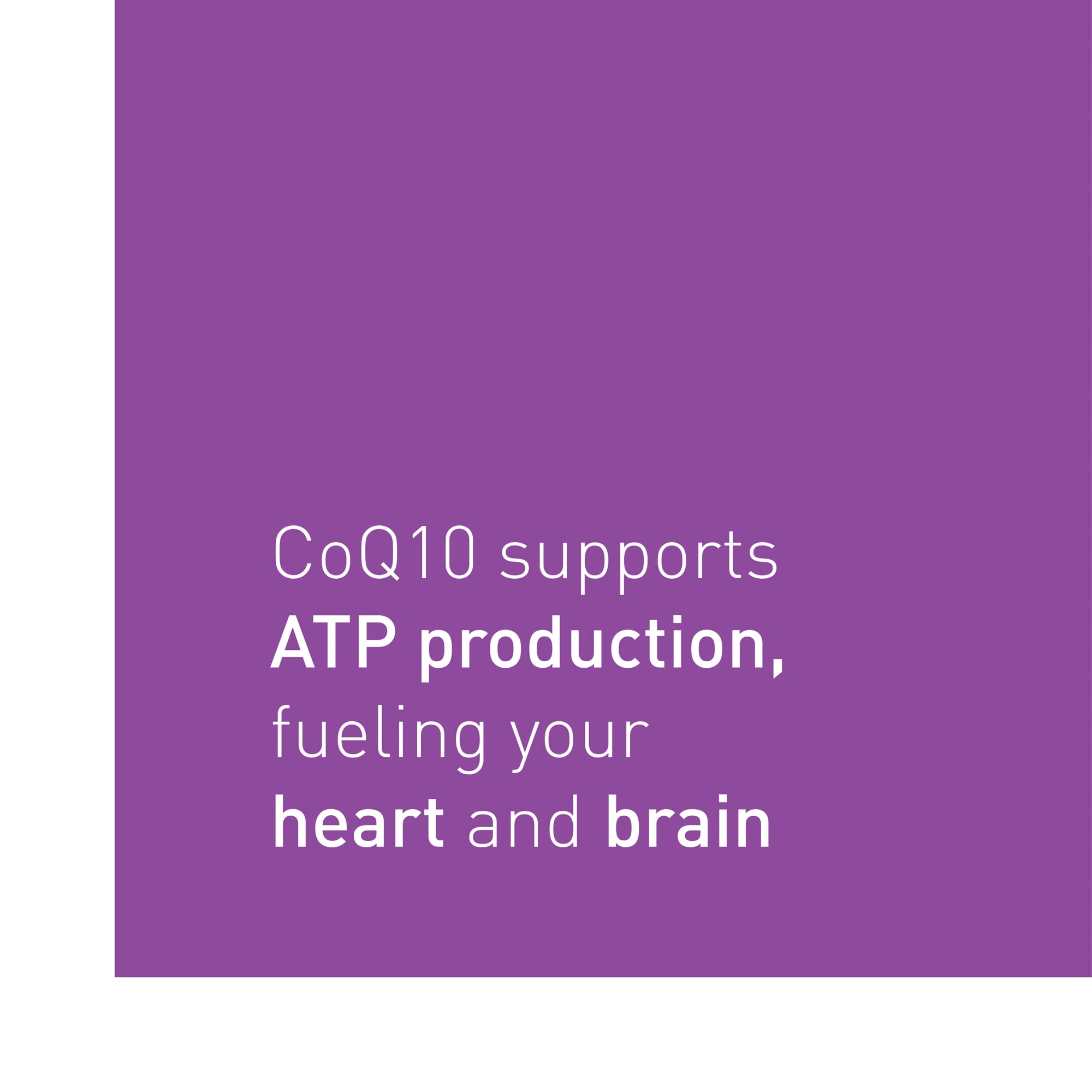 Natural Factors, Coenzyme Q10 100mg, CoQ10 Supplement for Energy, Heart and Antioxidant Support, 240 Softgels