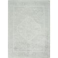 thumbnail image 2 of Nourison Astra Machine Washable 5'3" x 7' Light Grey Vintage Indoor Rug, 2 of 9
