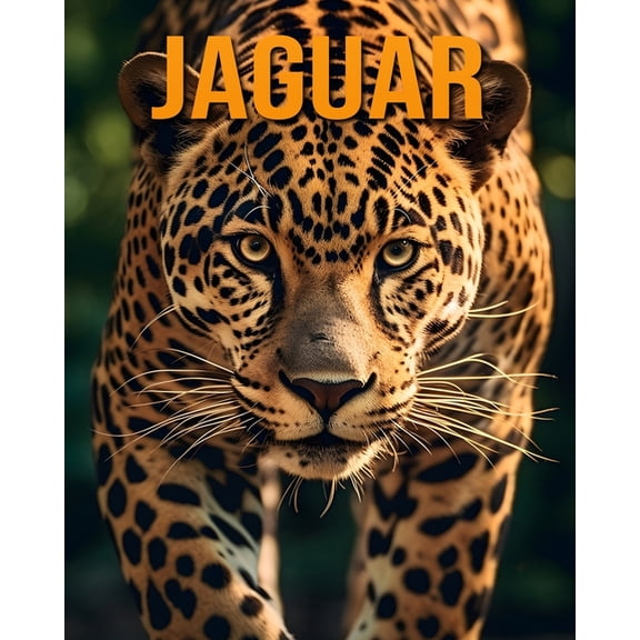 Jaguar: The Essential Guide to This Amazing Animal with Amazing Photos, (Paperback)