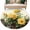 Off White, variant on Spring Floral Area Rugs 5'x7', Washable Small Throw Rugs for Laundry Room Playroom, Yellow Roses Flowers Rustic Botanical Pink Indoor Outdoor Rug Non-Slip Low Pile Carpet Runner Reversible Floor Mats