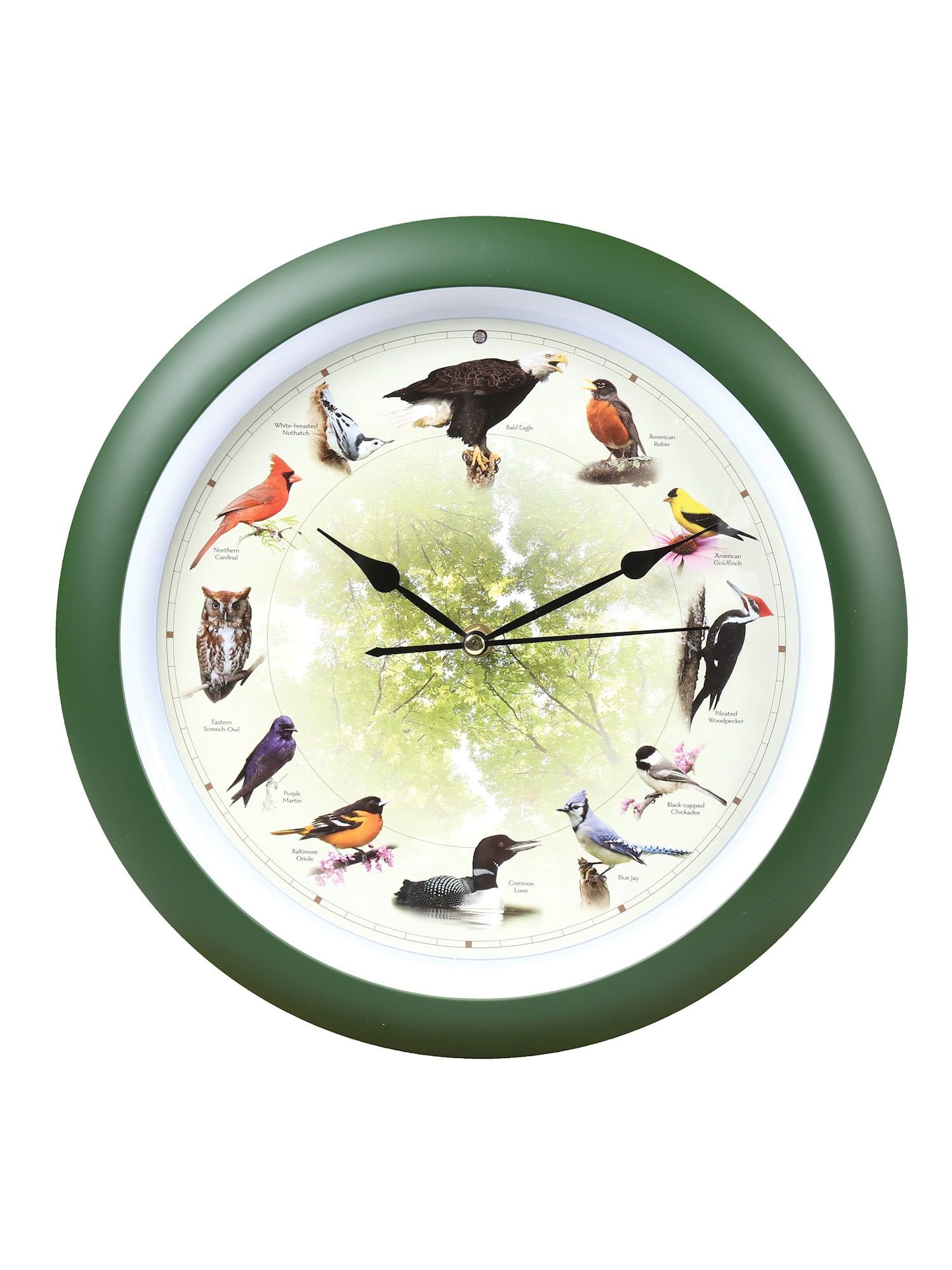 Audubon Singing Bird Clock 13 Inch 