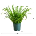 thumbnail image 2 of Nearly Natural 3ft. UV Resistant Artificial Boston Fern Plant with Real Touch Leaves (Indoor/Outdoor), 2 of 7