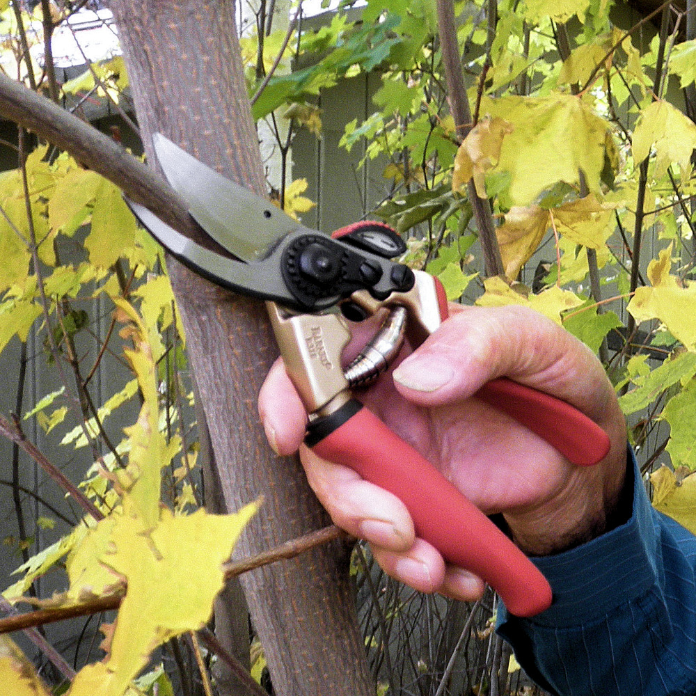 Barnel B300 Heavy Duty Garden Hand Pruner - 8-1/4 Inch Bypass Pruner With Self-Oiling Bolt & Non-Slip Grips