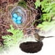 thumbnail image 3 of Nido de pájaro artificial con huevos, gorrión, jaula decorativa para pájaros, huevos de pájaro de imitación, pájaros gris, 3 of 9