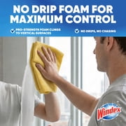 Windex Fast Shine Foam Glass, Window, and Mirror All Purpose Cleaner, No-Drip Aerosol Cleaning Spray, 19 oz