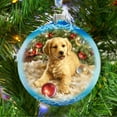 thumbnail image 3 of Christmas Puppy Glass Ornament by D. Gelsinger | Christmas Décor - 71104-1609, 3 of 6