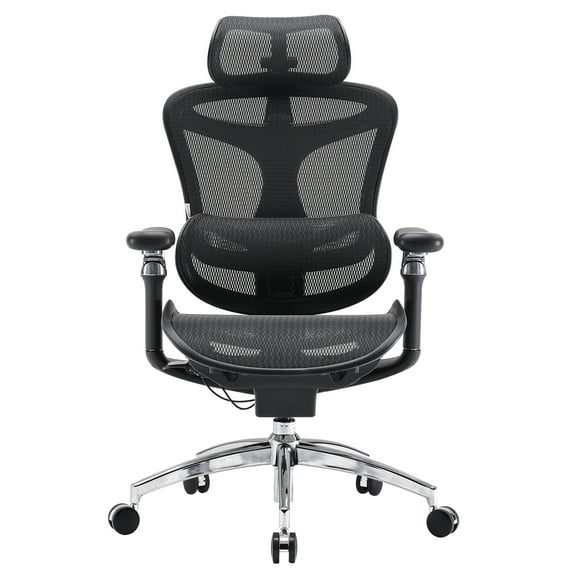 SIHOO Doro C300 Pro Ergonomic Chair Dual Seat Back Support Wide Deep Seat Computer Chair with Dynamic Lumbar Support-Black