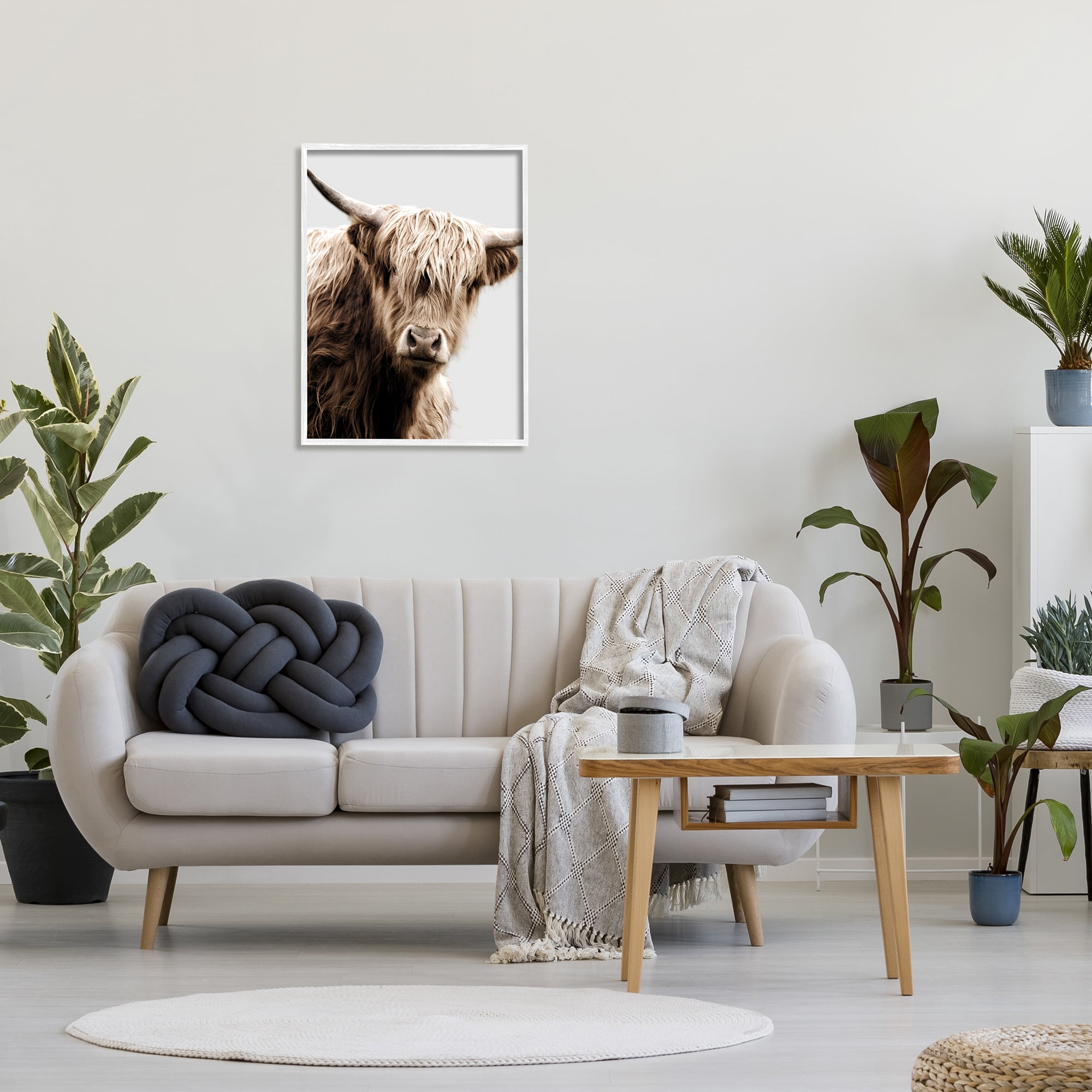 Stupell Industries Wooly Cattle Portrait Animals & Insects Photography White Framed Art Print Wall Art, 24 x 30
