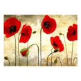thumbnail image 3 of Tiptophomedecor Floral Wallpaper Wall Mural - Golden Field Of Poppies, 3 of 4
