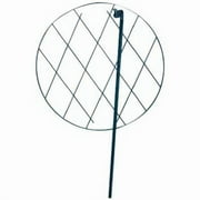 Grow Through Support Hoops