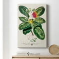 thumbnail image 6 of Imperial Tropical Botanical I Premium Gallery Wrapped Canvas - Ready to Hang, 6 of 9