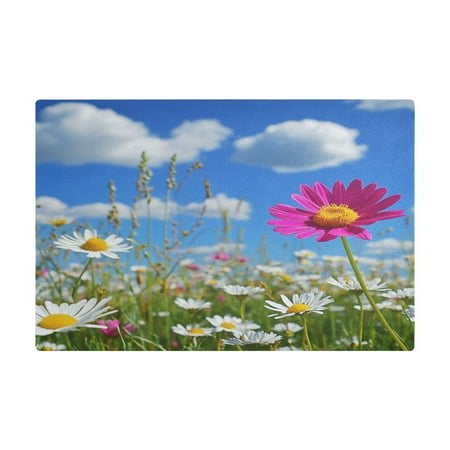 

PU Leather Kitchen Drying Mat with Silica Gel Core Coffee Bar Pad Dual-Sided Absorbent Non-Slip for Kitchen Counter Colorful Field Of Wildflowers