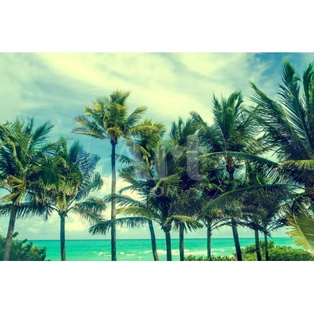 Tropical Palm Trees on the Miami Beach near the Ocean, Florida, Usa, Retro Styled Print Wall Art By