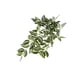 thumbnail image 5 of Bewildely Plantas falsas Decoración para el hogar Mini flor artificial Hoja de simulación Hojas colgantes Vine Boda Prop Sala de estar de blanco verde 2piezas, 5 of 6