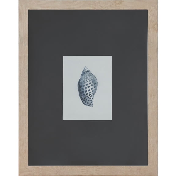 Ashland 11" x 14" Blue Spotted Shell Art Wall Decor , Summer Home Decor