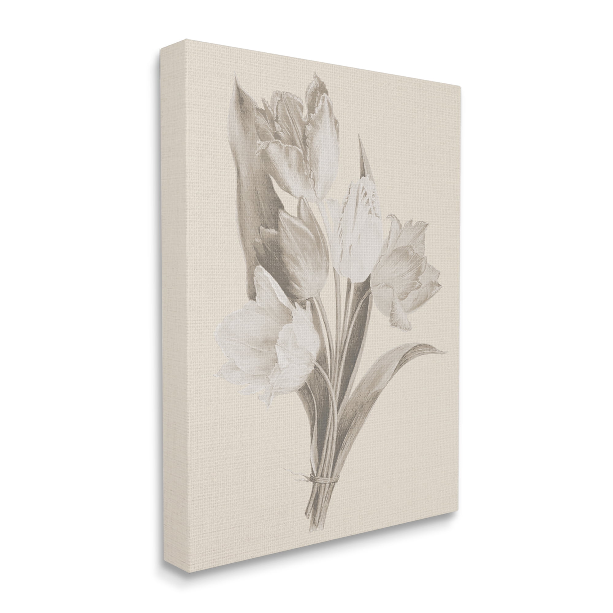Stupell Industries Antique Tulips Drawing Botanical & Floral Drawing Gallery Wrapped Canvas Art Print Wall Art, 16 x 20