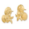 thumbnail image 2 of FJC Finejewelers 14k Yellow Gold Sand Dollar Starfish Scallop Cluster Post Earrings, 2 of 3