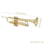 Ktaxon Bb Standard Trumpet Set, Gold Lacquer Brass with Case for Students Beginner School Band
