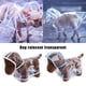 thumbnail image 4 of Greeniant Chubasquero impermeable para mascotas para cachorros - Hebillas de doble Chaqueta de ropa transparente de secado rápido Marco azul M Type3 NO3, 4 of 6