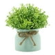 thumbnail image 3 of Pequeñas plantas artificiales en maceta, orquídea artificial, flor de frijol en maceta, arreglo floral Olla verde, 3 of 9