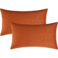 thumbnail image 1 of Juego de 2 fundas de almohada decorativas rectangulares de terciopelo acogedor para sofá y cama, 12 x 20 pulgadas, 1 of 5