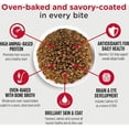 thumbnail image 2 of MedalSeries Baked & Coated Turkey, Chicken & Duck Dry Puppy Food 10 lbs., 2 of 2