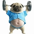 thumbnail image 1 of 2D Pug Acrylic Diffuser Car Air-Outlet Aroma Diffuser Air-Freshener Decorat, 1 of 1