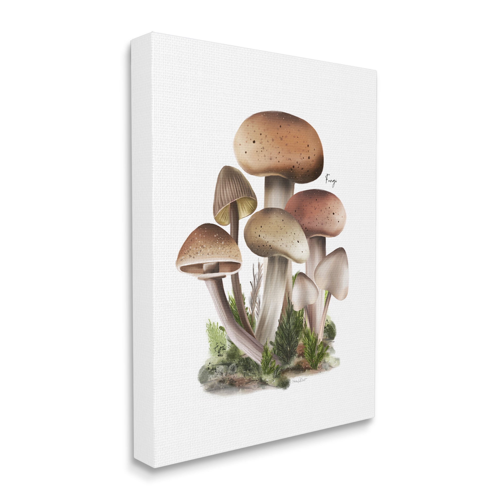 Stupell Industries Mushrooms on White Botanical & Floral Painting Gallery Wrapped Canvas Art Print Wall Art, 24 x 30
