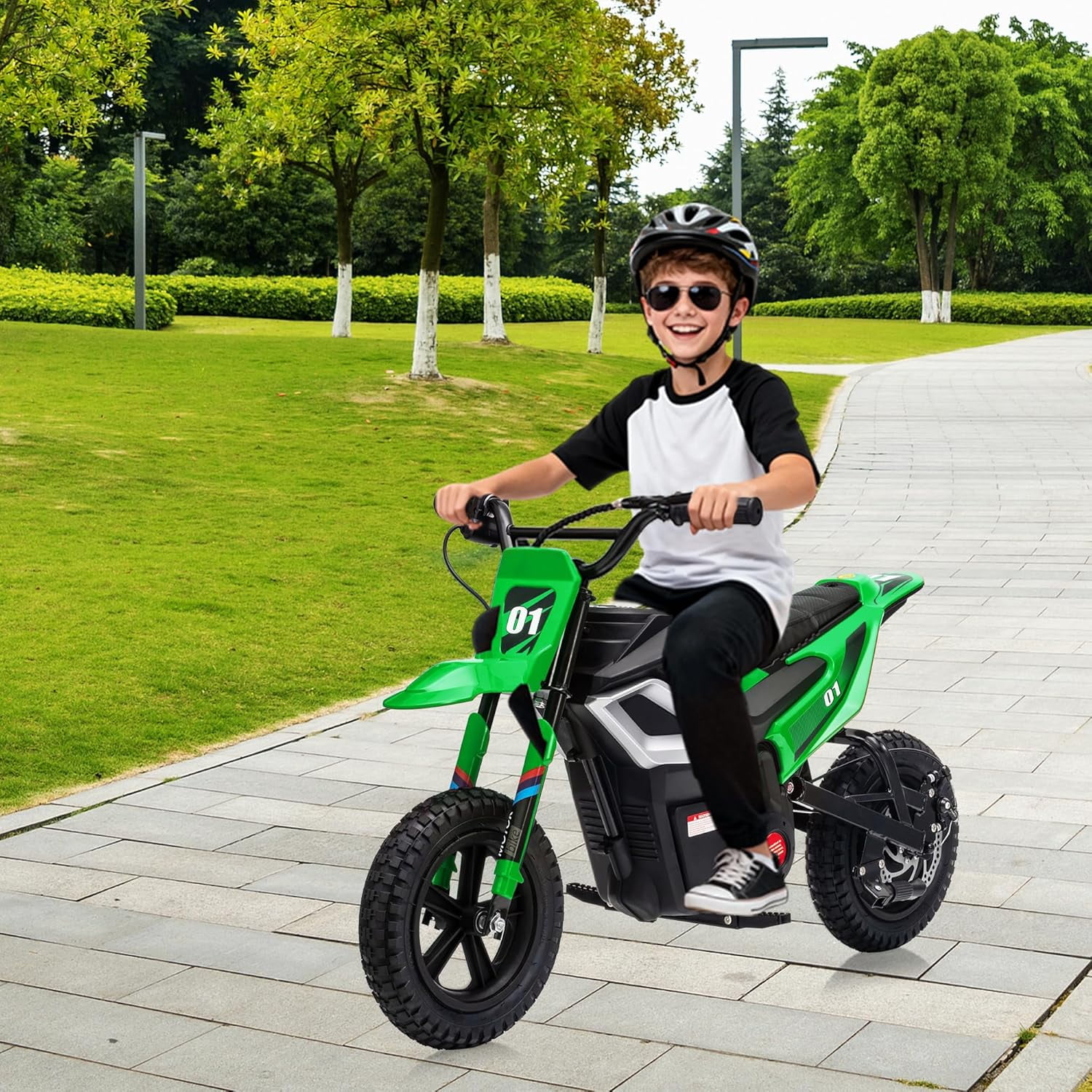 Rugerasy 24V Electric Dirt Bike,Ride on Motorcycle with Rear Wheel Suspension,12 Miles Range,Twist Grip Throttle,Rubber Tire,Birthday & Xmas Gifts,Green