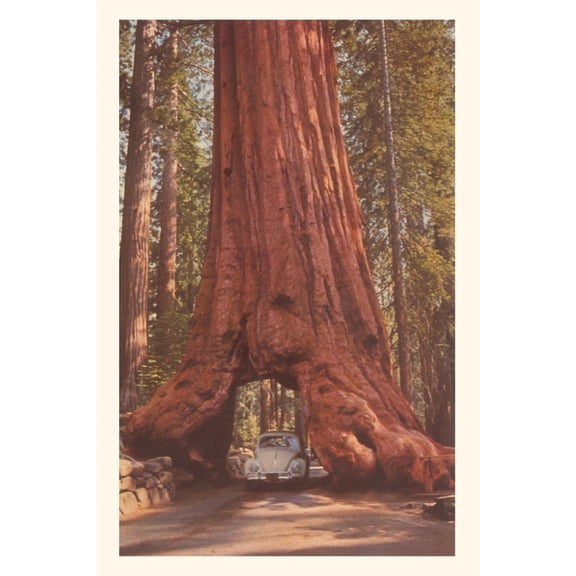 Pocket Sized - Found Image Press Journals: Vintage Journal Redwood and Volkswagen (Paperback)