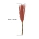 thumbnail image 2 of Uxcell 8Pcs Hierba de Pampas Falsa de 21" para Decoración de Bodas Burdeos, 2 of 7