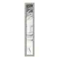 thumbnail image 2 of ArtToFrames 5" x 36" Classic Silver Picture Frame, 5x36 inch Gray MDF Poster Frame (WOM-4499), 5 Pack, 2 of 8