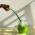 thumbnail image 3 of Juego de escobillas de inodoro de cereza Diseño de sello de cepillo de limpieza de inodoro de plástico (verde) Likrtyny Para estrenar, 3 of 6