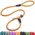 thumbnail image 1 of Correa Slip Leads para perros Fida Heavy Duty, de nailon, color naranja, 1 of 7