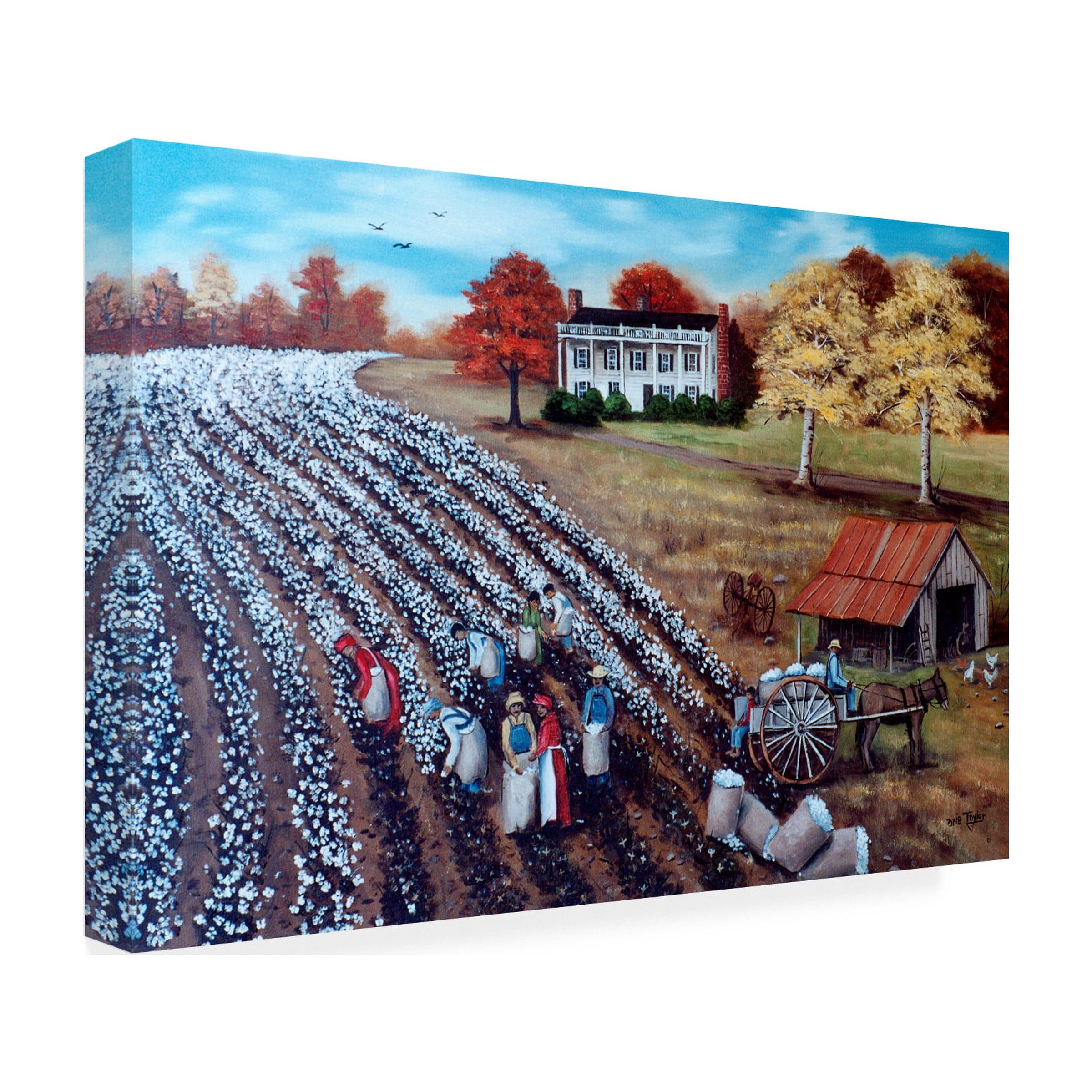 Trademark Fine Art 'The Lincoln Cotton Field' Canvas Art by Arie Reinhardt Taylor