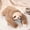 Sloth, variant on Weighted Bear Plush Pillow, Soft Stuffed Animal with Glass Beads in Arms for Anxiety Relief and Sleep Support, Cute Hugging Companion for Couch and Bed
