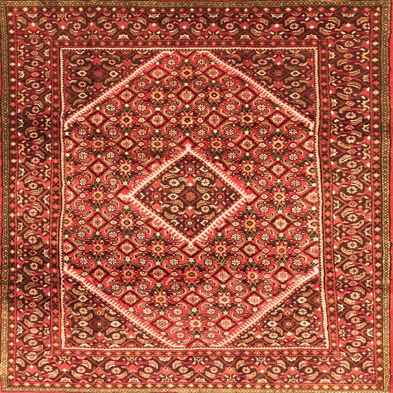 Ahgly Company Indoor Square Persian Orange Traditional Area Rugs, 5' Square