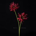 thumbnail image 3 of shiyou-26 Pouces Fleurs Artificielles Rouges de Lys Araignée 4 Pcs Faux Lycoris Radiata Fleurs Équinoxe en Soie pour Vases Bouquets Décoration Maison Bureau Mariage (Rouge), 3 of 4