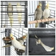 thumbnail image 3 of Alden Design Rolling Metal Large Bird Cage Parrot Cage with Stand Open Playtop, 3 of 10